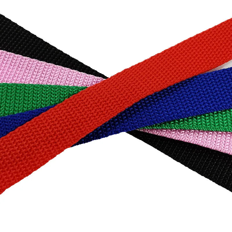 Long Outdoor Dog Training Leash